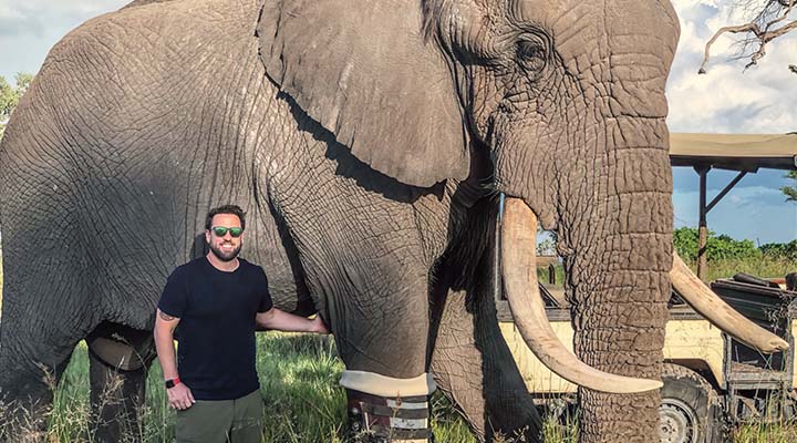 A person standing next to an elephant